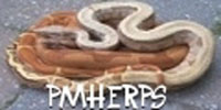 PMHerps - Captive Bred Reptiles